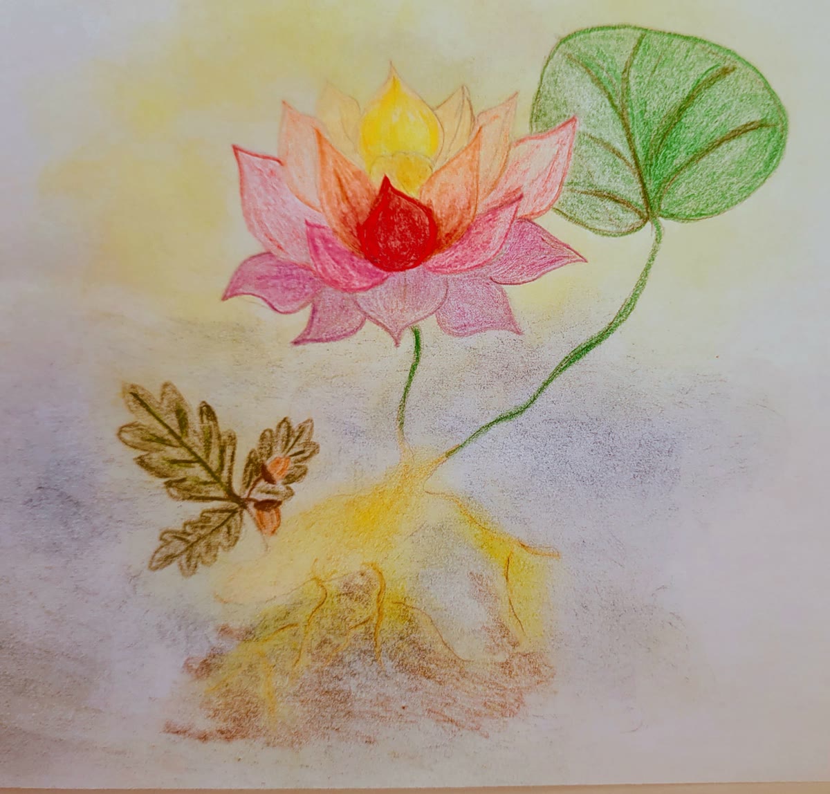 Handgezeichneter Lotus mit Wurzel – Sinnbild für Wachstum und Erdung